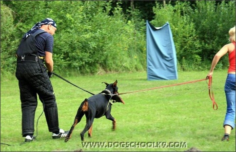 Summer training camp in Estonia 2007